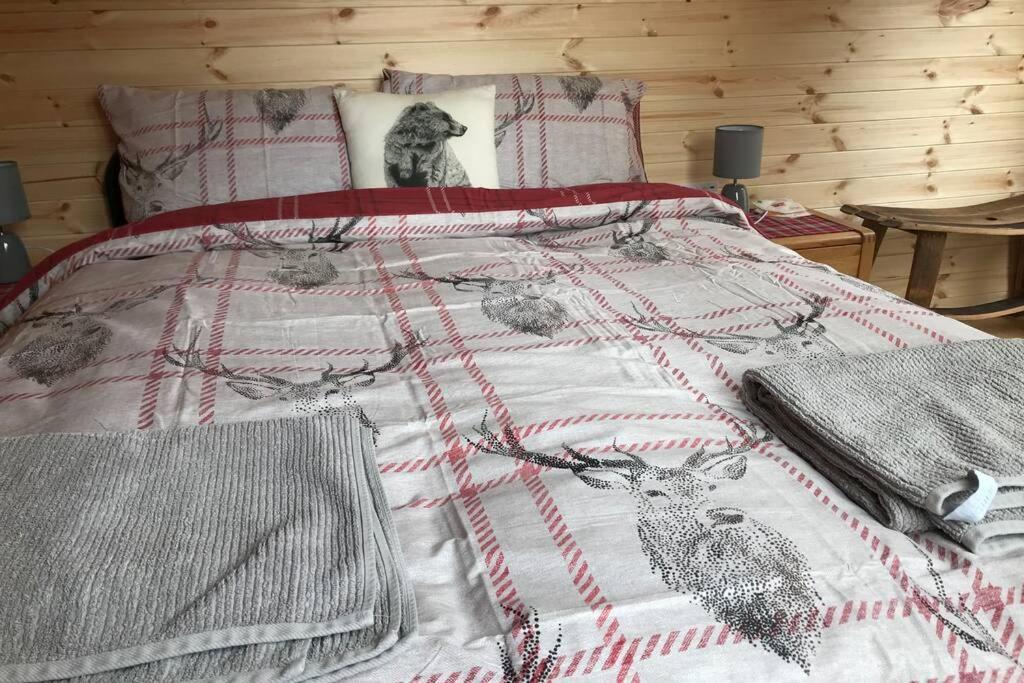 Apartmán An Cabar Aviemore Exteriér fotografie